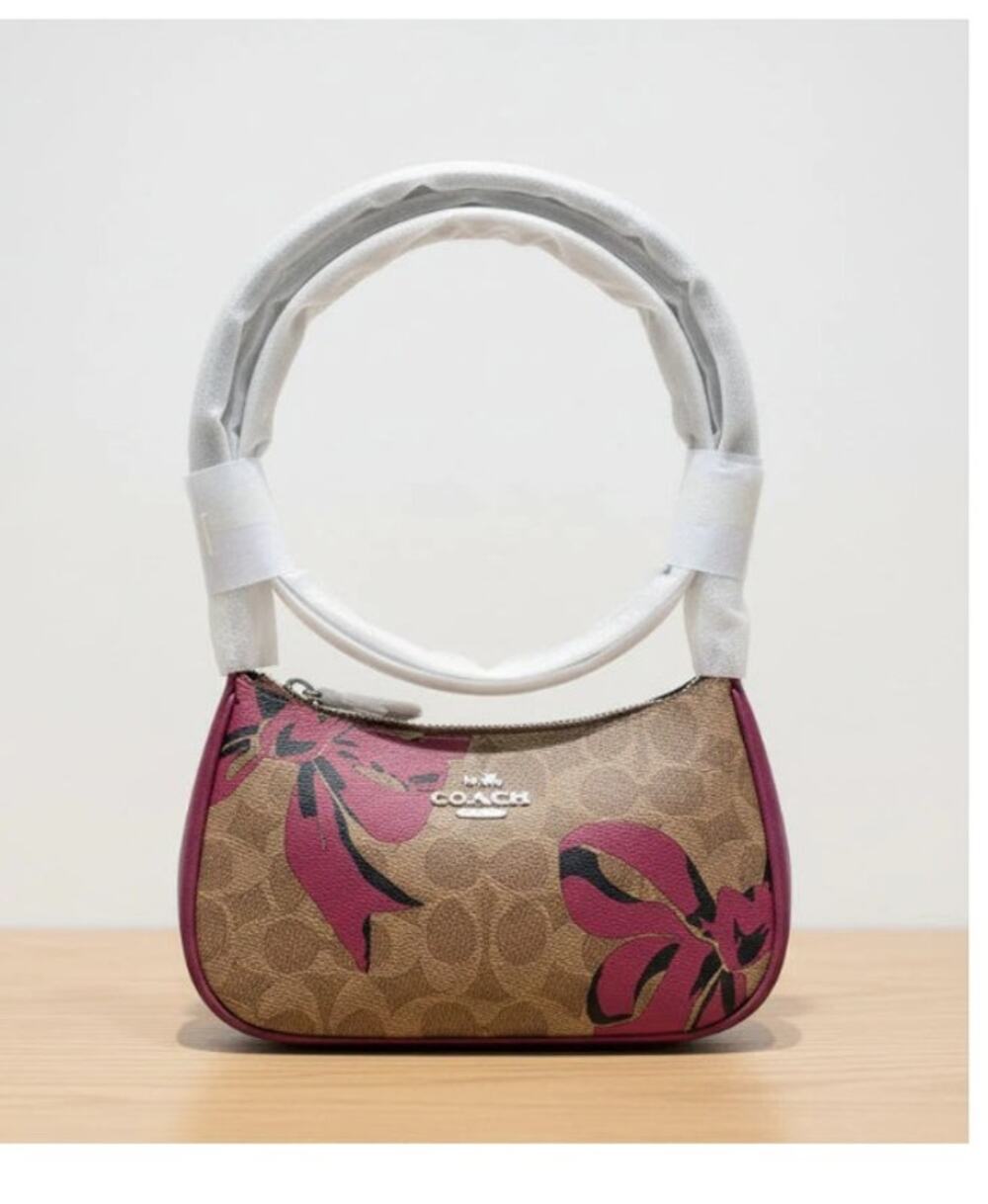 Coach Red Bow Print Teri Mini Crossbody Brown Signature Canvas Bag CY733 NWT